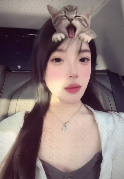 背景图 121 号补充